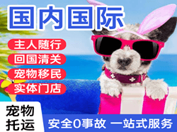 呼和浩特机场邮寄国际宠物托运 【国